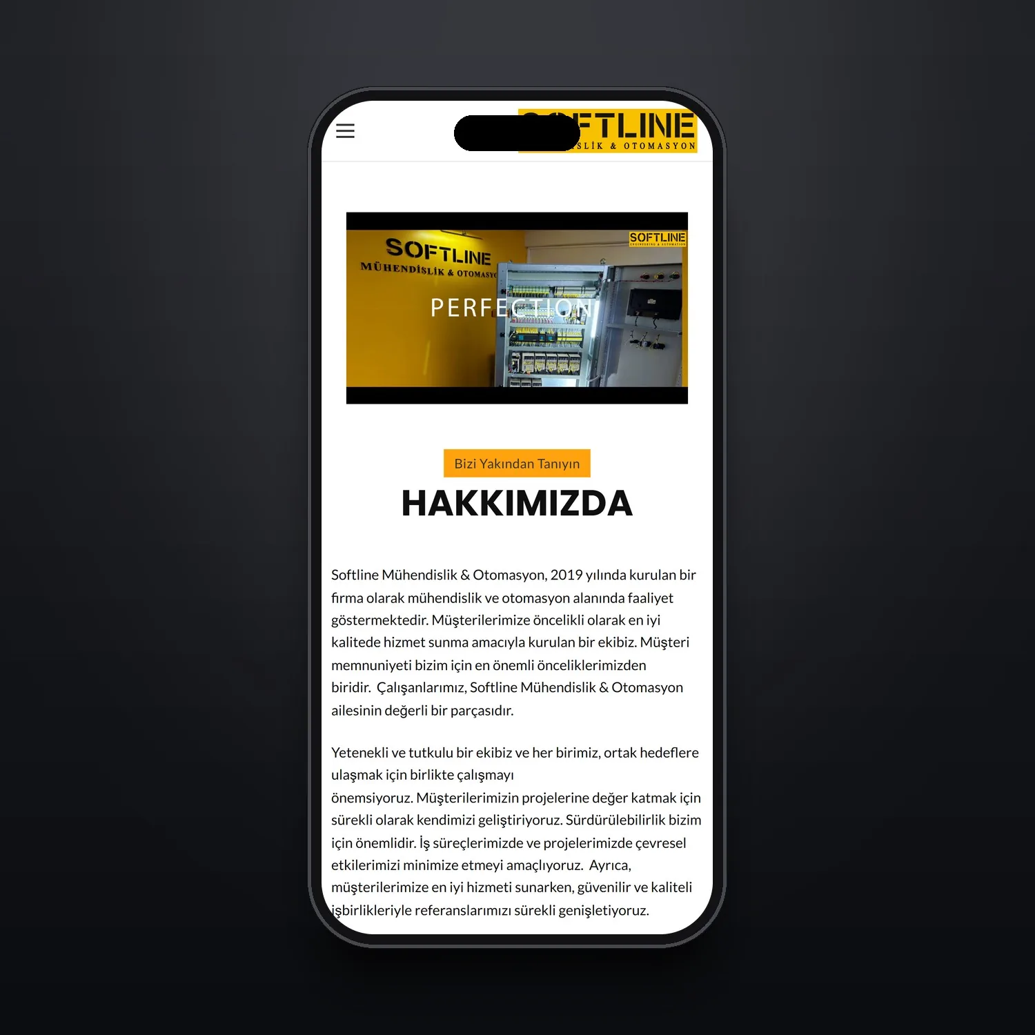 Softline proje görseli 3